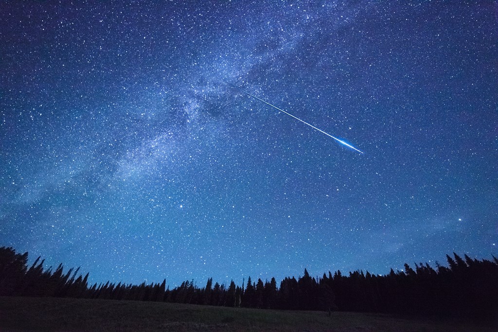 Milky Way Above Trees in Yellowstone Park.