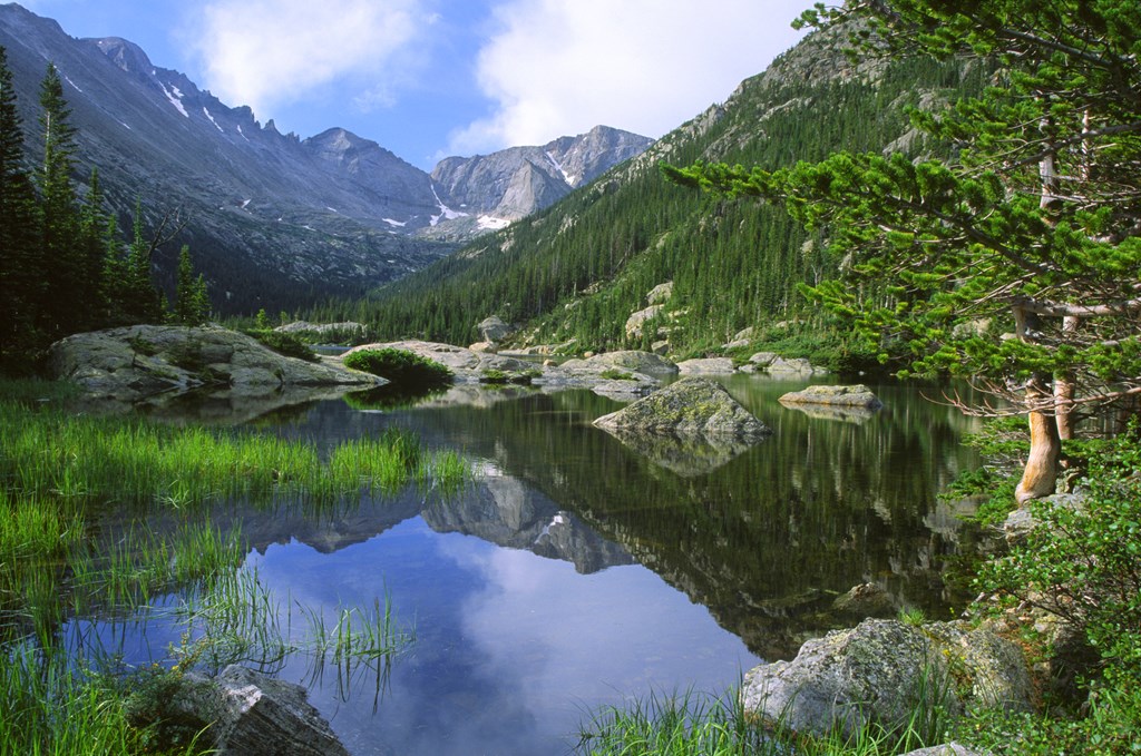 Green evergreens and rocky mountains surround Mills Lake in Rocky Mountain National Park.