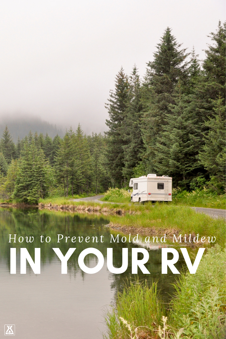 When it comes to mold, mildew and fungus in your RV, prevention is your best bet. Check out these 7 tips for preventing the growth of RV mold and mildew!