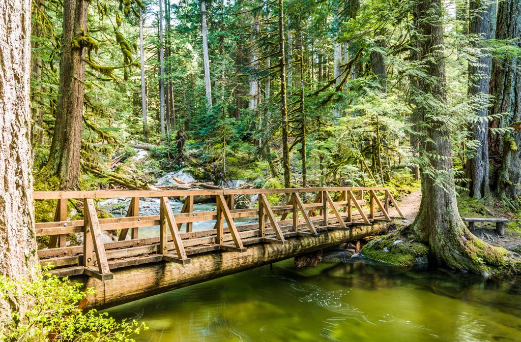 A trail through Deception Falls National Recreation Area in the Cascade Foothills of Western Washington includes this peaceful bridge scene.  This tail is a part of the Mount Baker - Snoqualmie National Forest, Skykomish Ranger District.