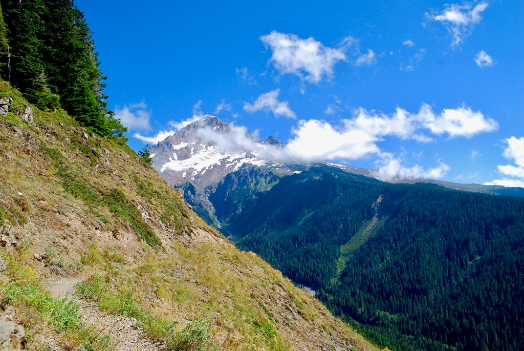 Timberline Trail getting nearer to Mt. Hood Peak.