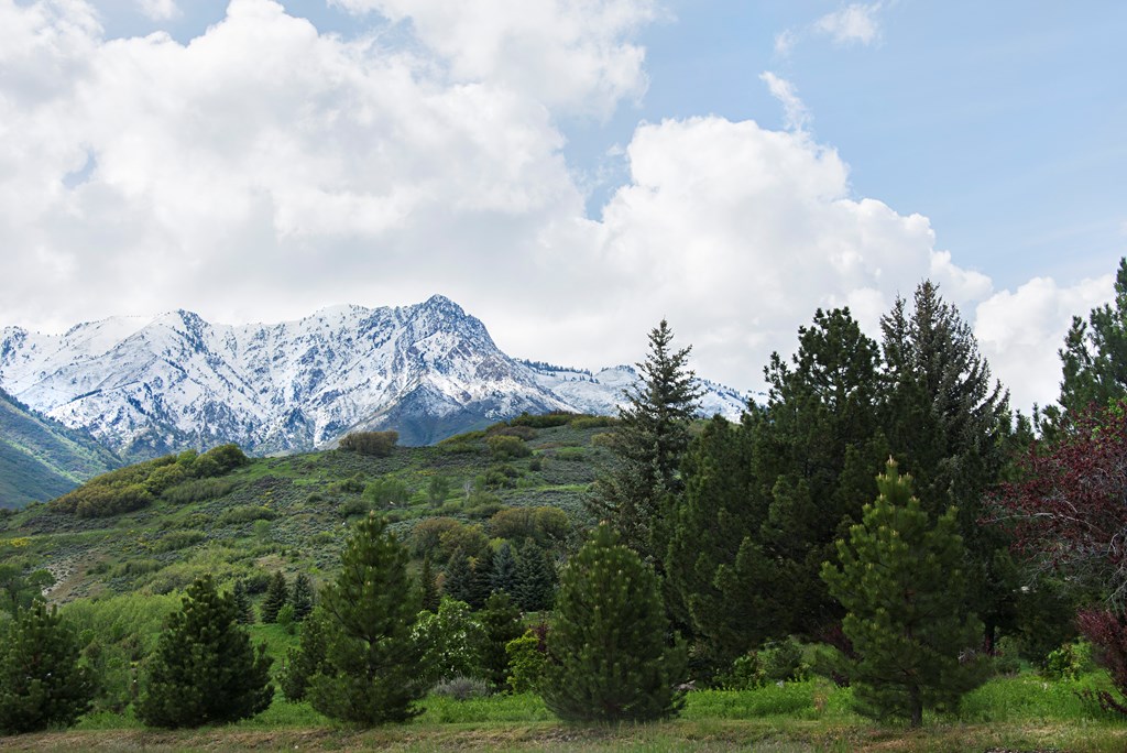 Mount Ogden covered in snow against a blue sky with fluffy clouds and lush green hills in the foreground.