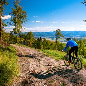 13 Best Mountain Biking Trails in California Image