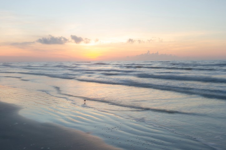 /blog/images/mustang-island-texas.jpg?preset=blogThumbnailCrop