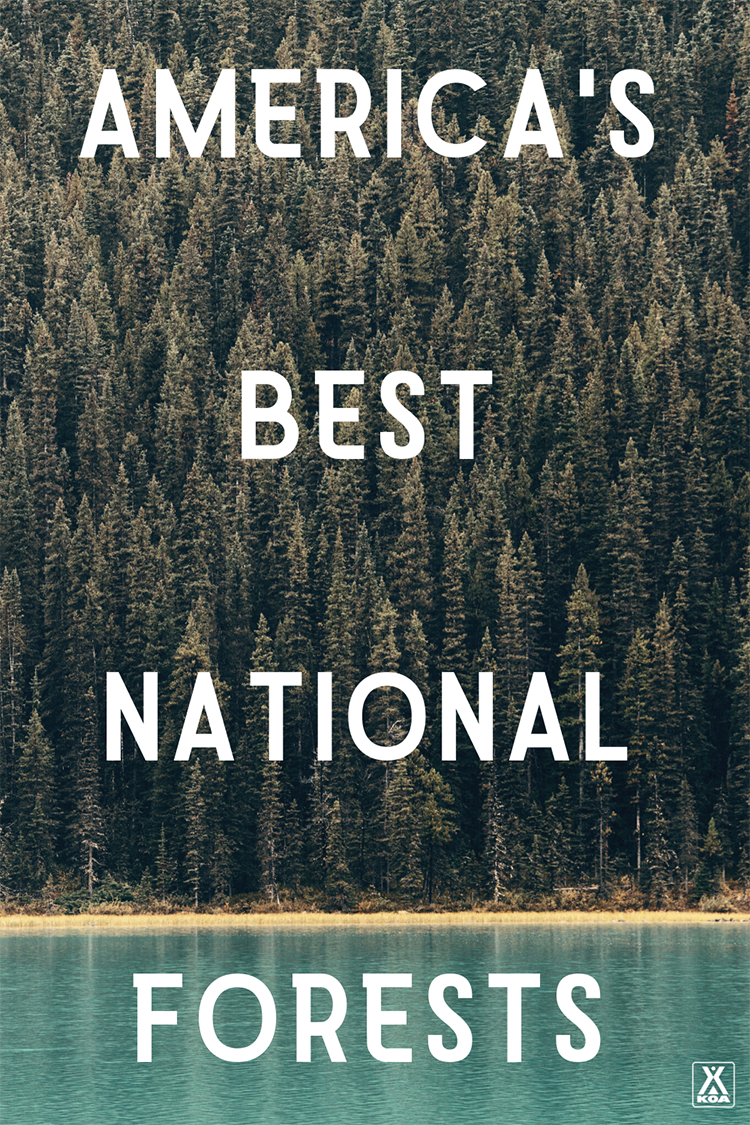 More acreage than national parks and plenty of outdoor recreation opportunities make these national forests fantastic places to explore on your next outdoor adventure. 