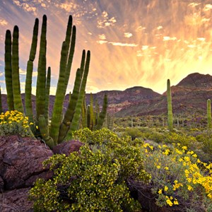 10 Under-The-Radar National Monuments to Visit Image