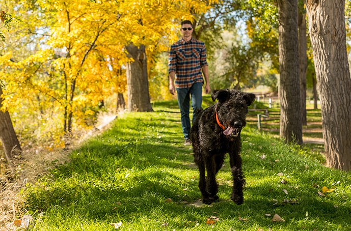 /blog/images/national-parks-for-dogs.jpg?preset=blogThumbnailCrop