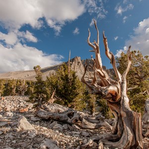 Avoid the Crowds at These Under-the-radar National Parks Image