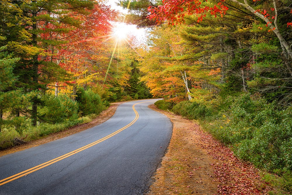 Winding road curves through splendid autumn foliage in New England. 
