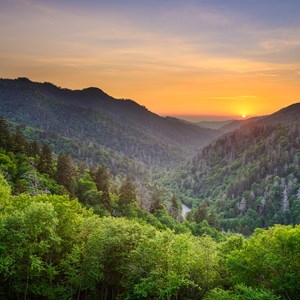 6 Things You Need to Do in Great Smoky Mountains National Park Image