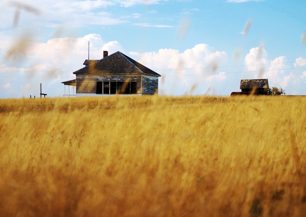 An image of one of the remaining buildings at the Nicodemus National Historic Site in the middle of a yellow field.