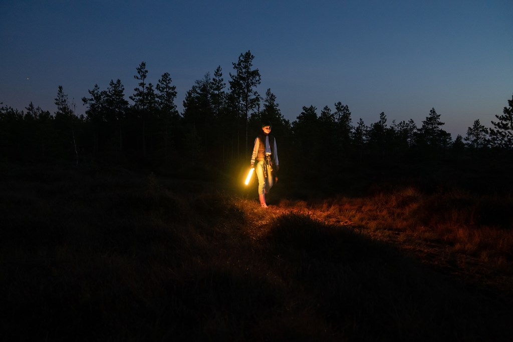Young woman walk in nature at night holding led lamp to highlight pathway from forest to camp, village or car after hiking. Casual female in rubber boots wondering autumn field after sunset.