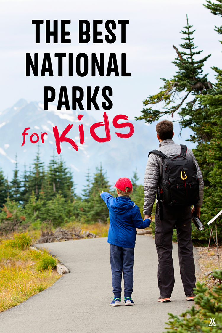 While every national park is worth a visit for families, these five national parks are sure to be a hit with kids. Here are some of the best national parks for kids and families.