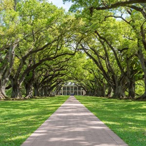 The Ultimate Louisiana Vacation Guide | Featured Region Image