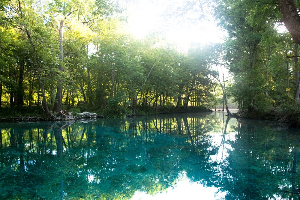 Natural spring in Ocala National Park, Florida