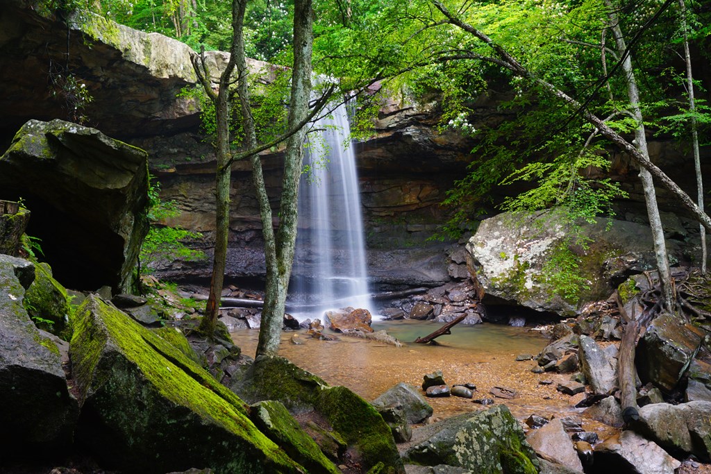 Cucumber Falls in Ohiopyle State Park in Ohio.