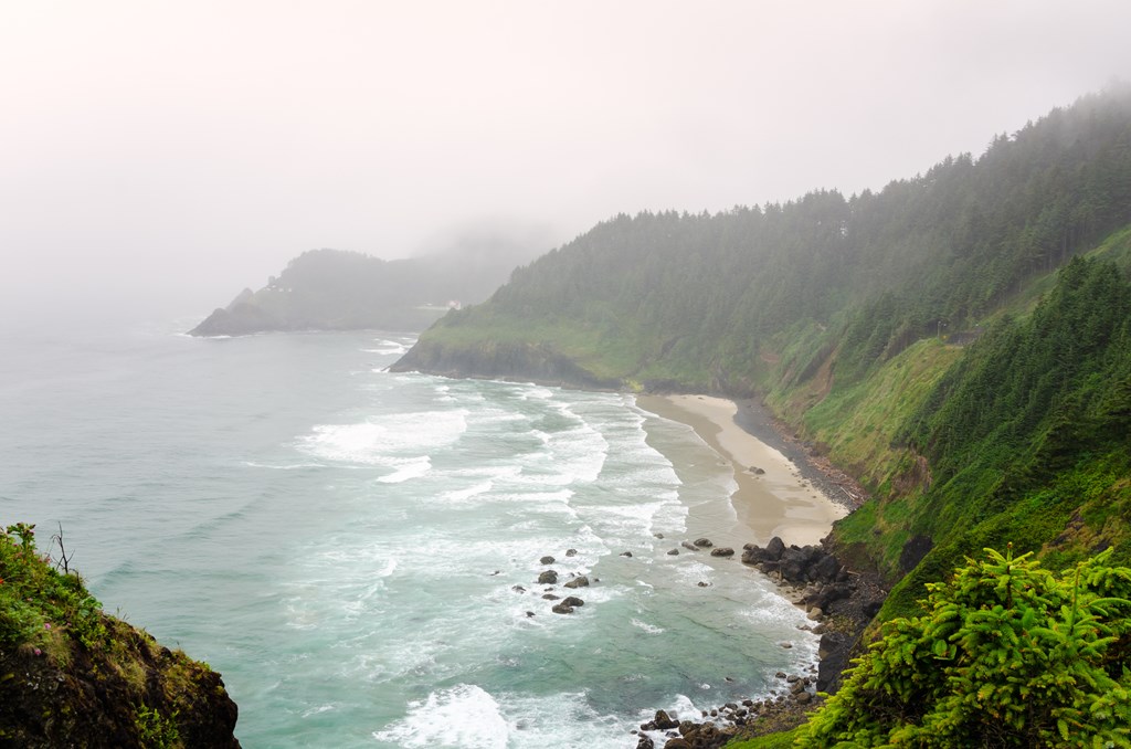 Beautiful bay along the coast of Oregon on a foggy summer day.