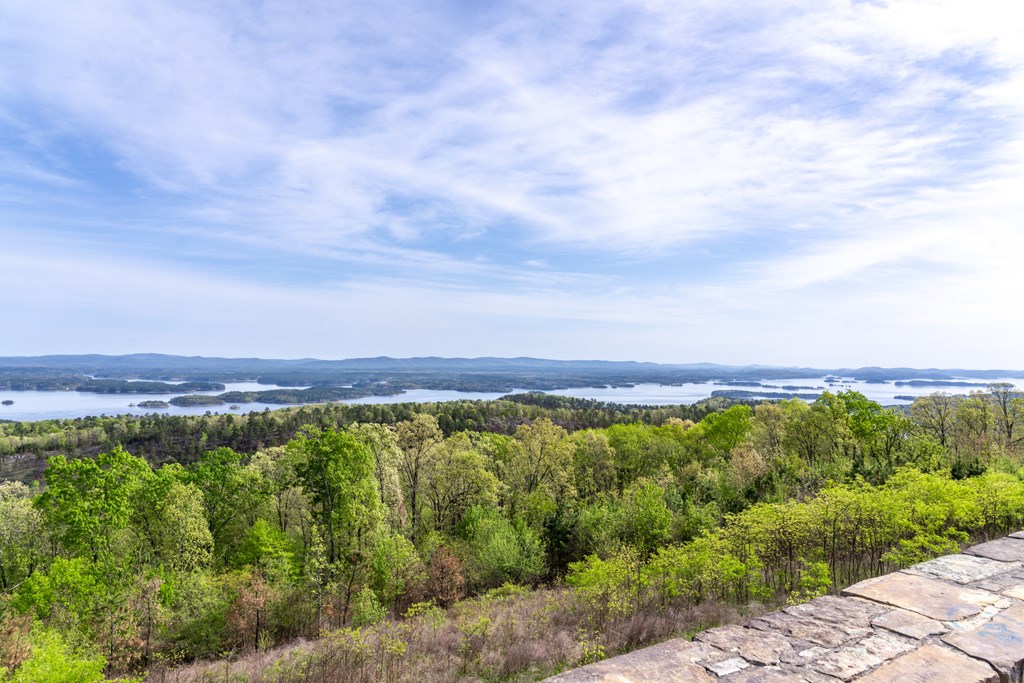The Ouachita National Forest and Ouchita Lake Seen from Hickory Nut Vista