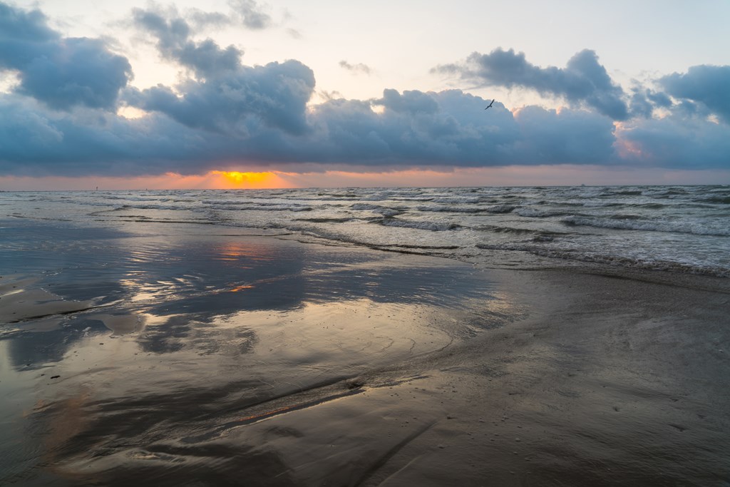 Padre Island Beach sunrise reflections as water flows back out from the sandy sea shore tropical calm morning at the beach in the Gulf of Mexico ocean tide.