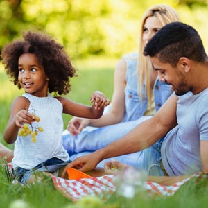 The Best National Parks for Summer Picnics Image
