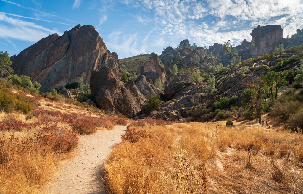 A trail heading towards rock outcroppings at Pinnacles National Park in California.