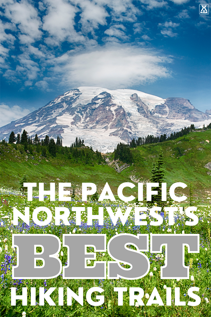 If you're a hiker, the Pacific Northwest is for you! Whether you’re eager to spot wildlife, foliage, wildflowers, or glaciers — or you just want to have a misty beach or a snowy ridge all to yourself, here are 11 of the best hikes to check out in the Pacific Northwest.