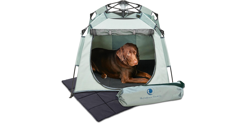A small green tent for dogs.