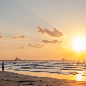 8 Destinations for Winter Texans Image