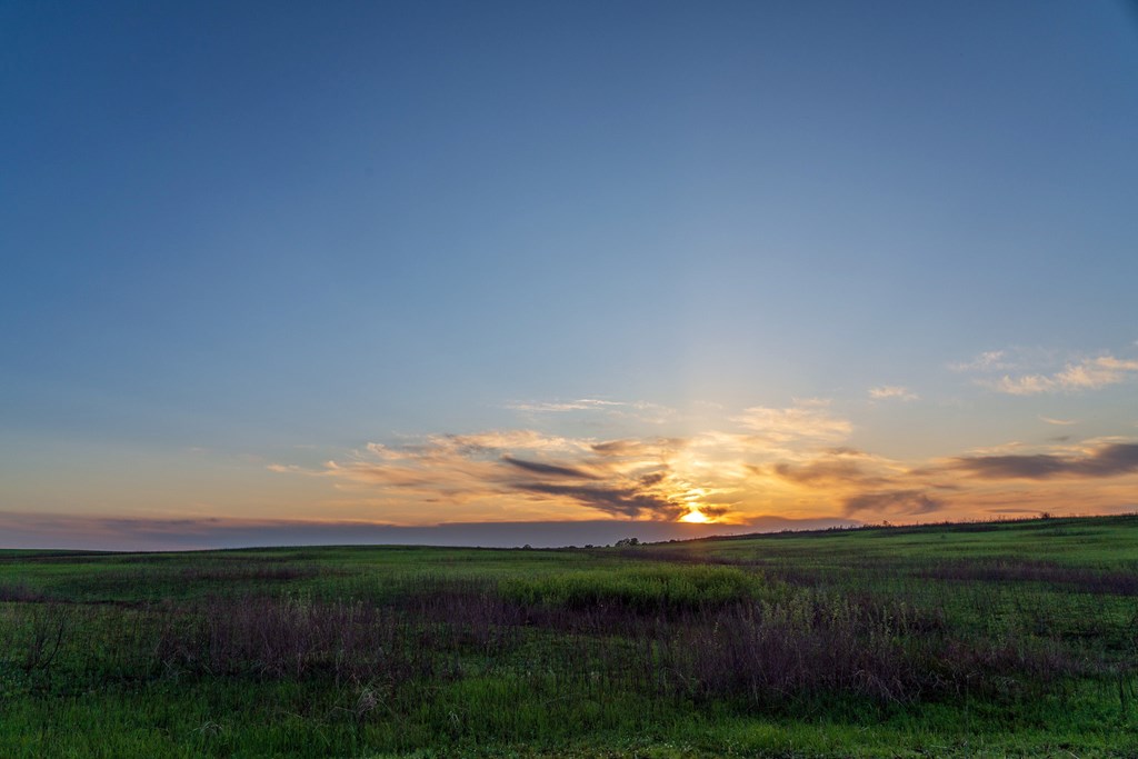 Sunset over the green prairie.