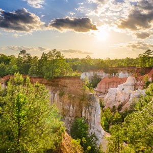 The Top 21 Camping Destinations for Spring Break Image