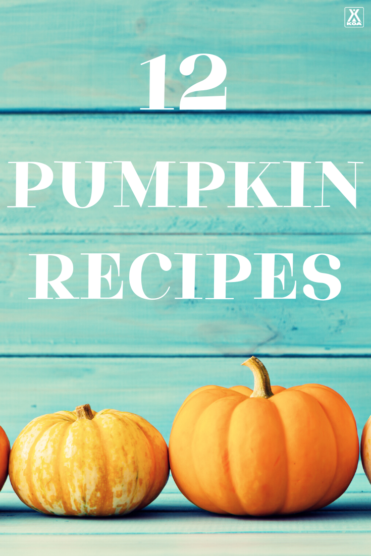 'Tis the season for all things pumpkin! Here are 12 of our favorite recipes to make when you're camping, or at home, that feature one of fall's favorite flavors - pumpkin.