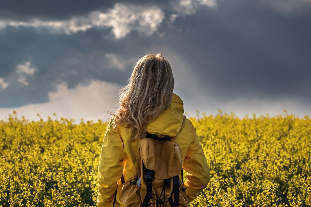 Woman looking at wildflowers after a rainstorm.