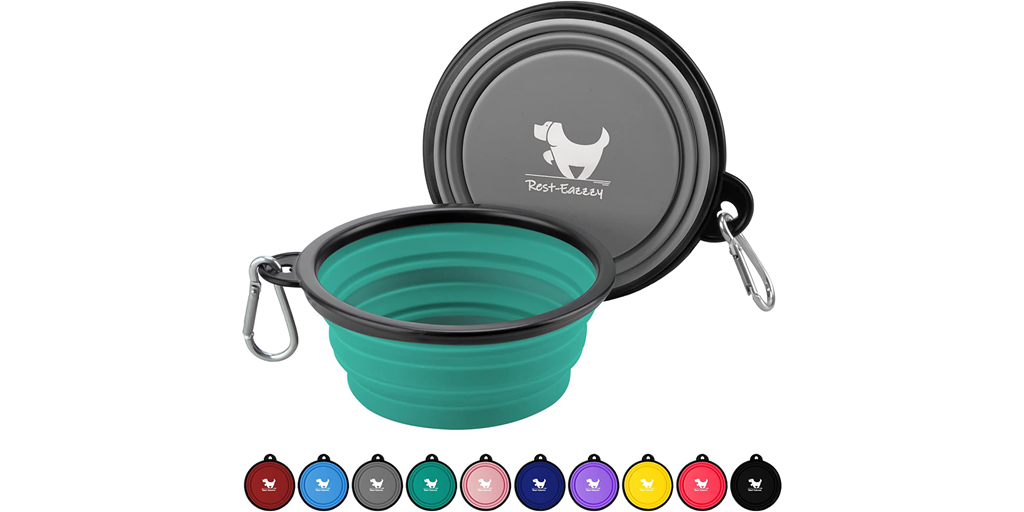 A turquois collapsible dog bowl.