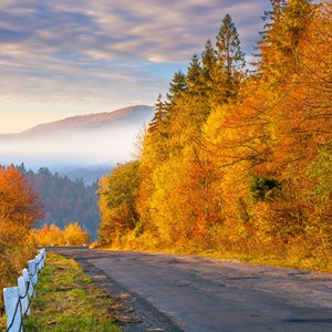 16 Best Fall Road Trips for Fall Foliage in the US Image