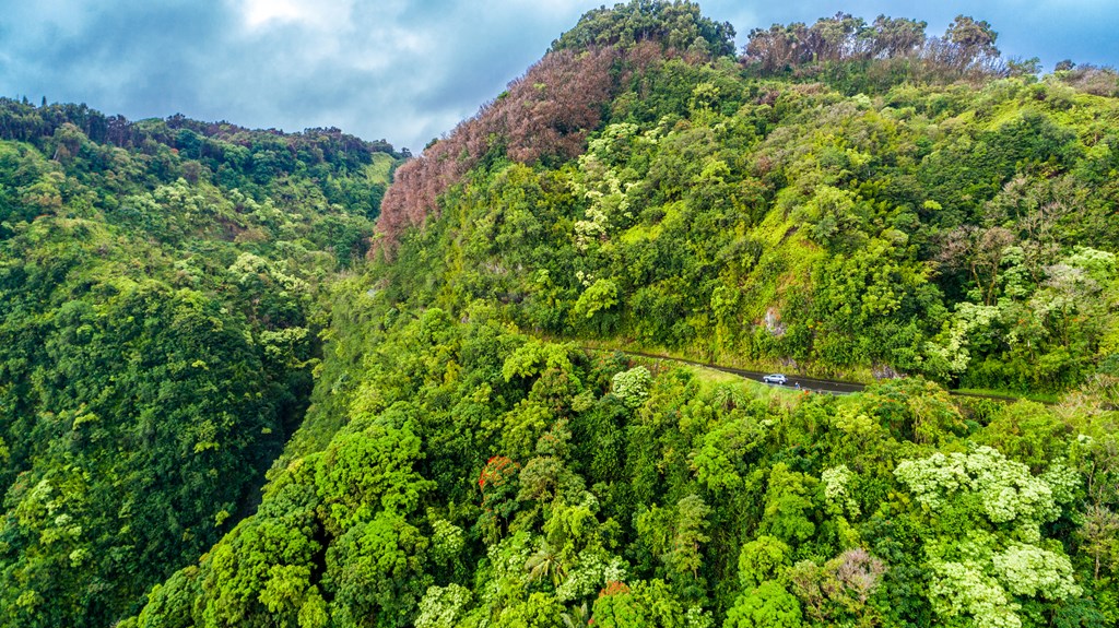 The famous road to Hana winds up the mountainous jungle hills in Hawaii.