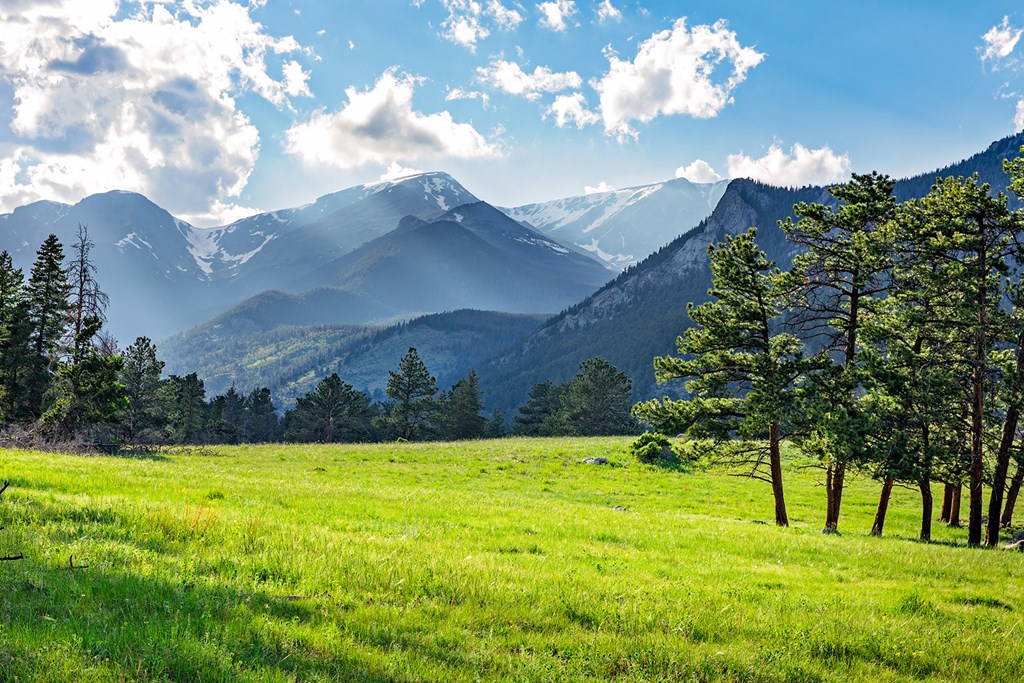 Idyllic summer landscape in Rocky Mountain National Park, colorado, with green mountain pastures and mountain range in the background.