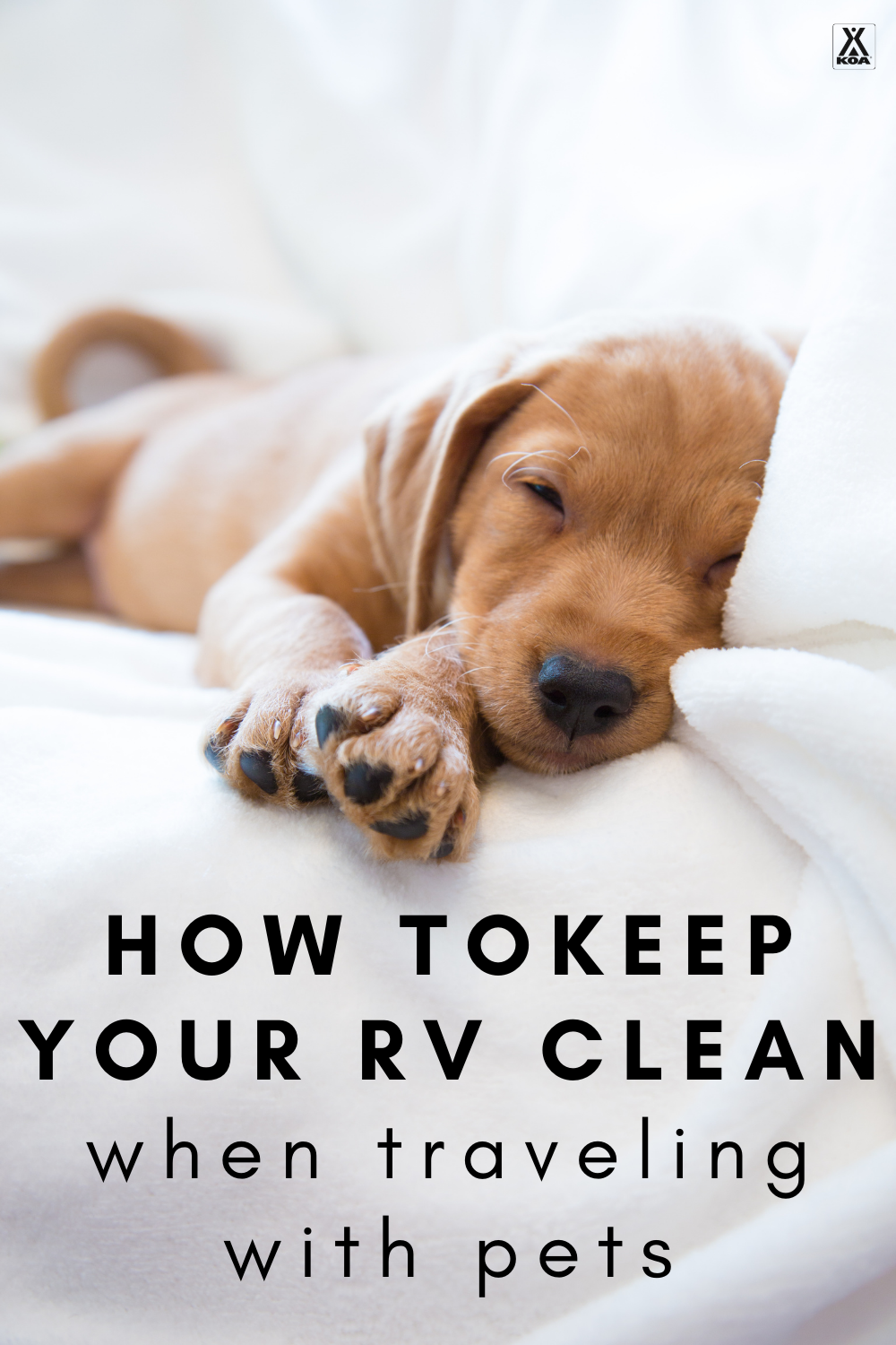 Traveling with pets can be one of the best parts of the RV lifestyle. Cleaning up after them? Not so much. Use our guide to discover tips and tricks to keeping your RV clean when traveling with pets.