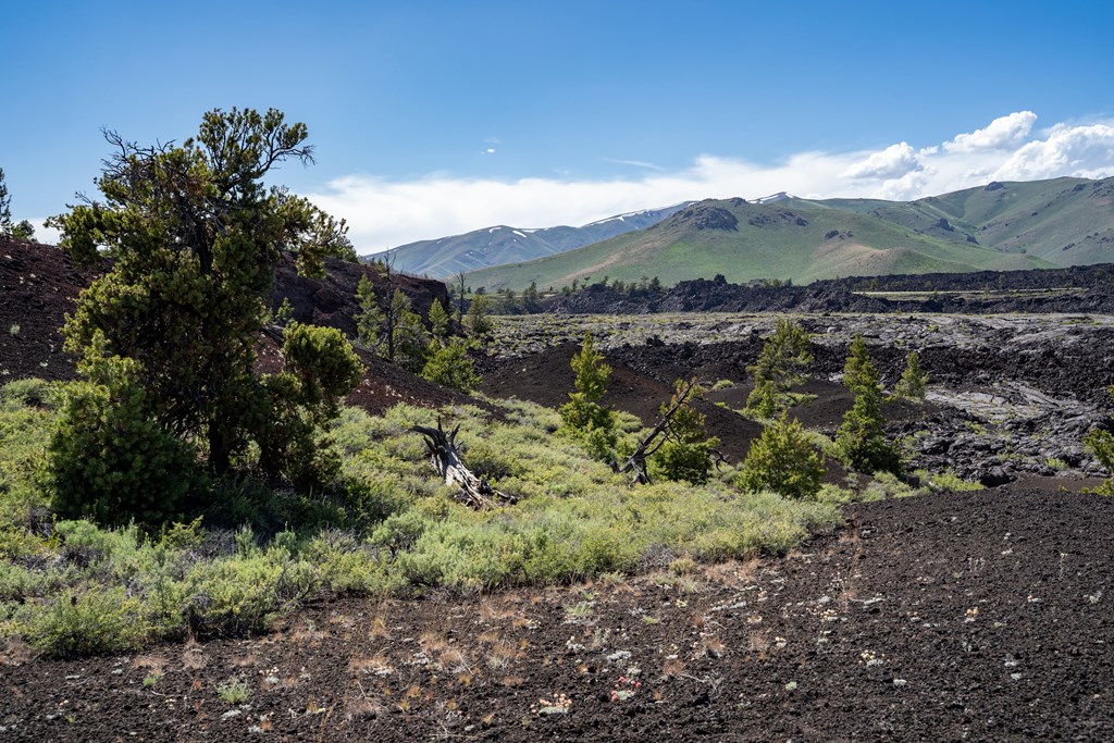 Ancient lava flows leave black rock in the green mountains surrounding Craters of the Moon in Idaho.