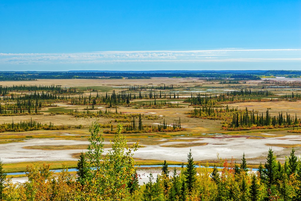 `Looking south across the Salt Plains in Wood Buffalo National Park in northern Alberta.