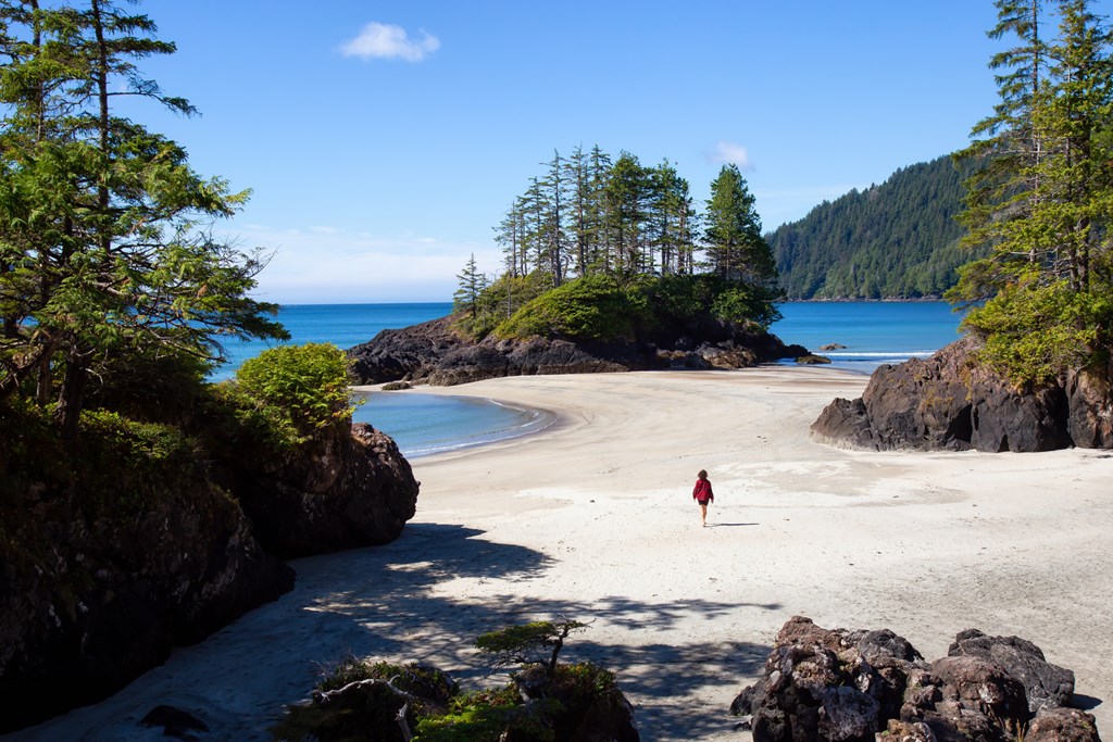 Beautiful view on the Pacific Ocean Coast during a sunny summer day. Taken in San Josef Beach, Cape Scott, Vancouver Island, BC, Canada.