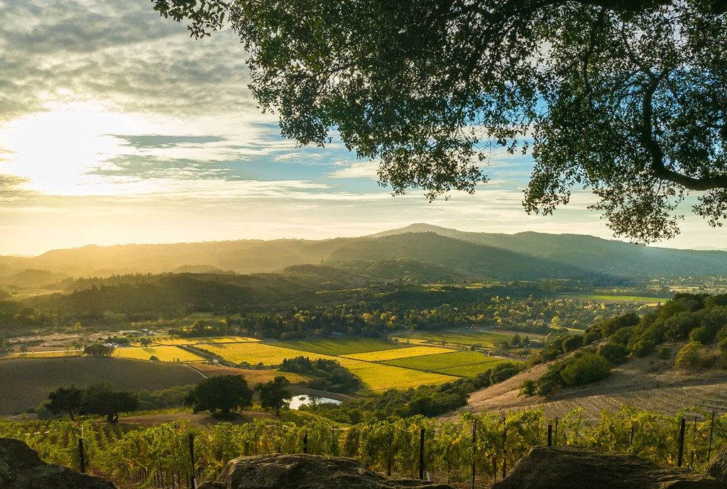 Vista of Sonoma Valley wine country in autumn. 