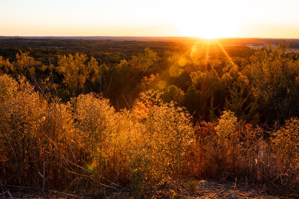 Sunflare over golden autumn forest during sunset in Junction, Illinois, United States