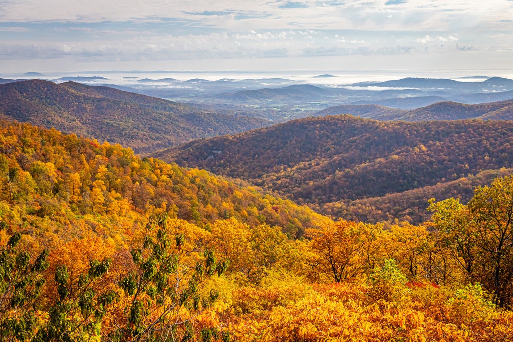 View of Shenandoah National Park and the Blue Ridge Mountains from the park's famous Skyline Drive Buck Hollow Overlook.