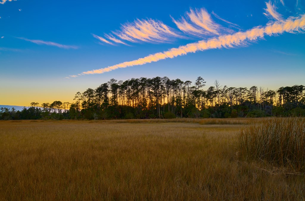 Sunset on the Avian Trail at Skidaway Island State Park, GA.