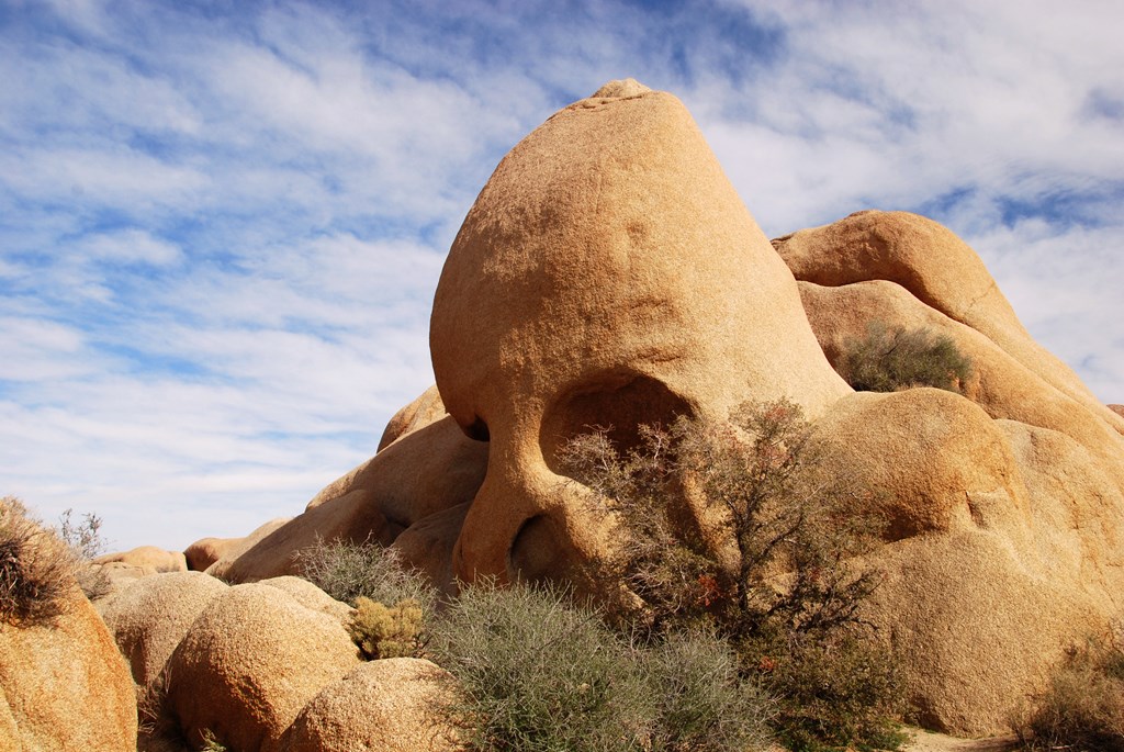 Skull Rock in Joshua Tree National Park, California.