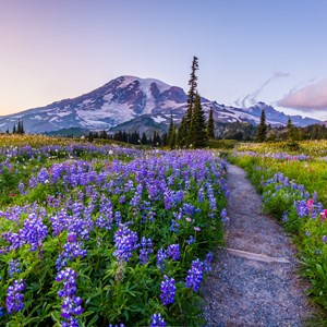 6 Best National Parks to Visit in the Summer Image