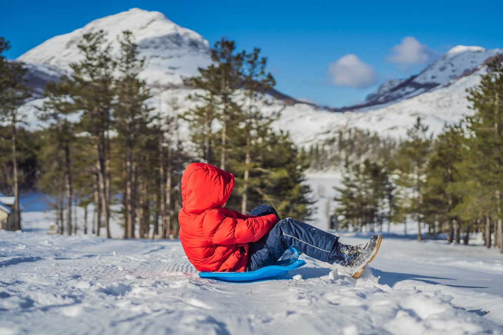 A young boy on a sled in the snow.