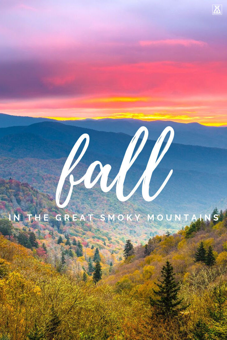Great Smoky Mountains National is an exquisite place to visit in the cool months of fall. Learn why we think fall is the perfect time to visit the Smoky Mountains along with tips to make the most of it. 