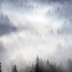 Camping in Poor Air Quality Image