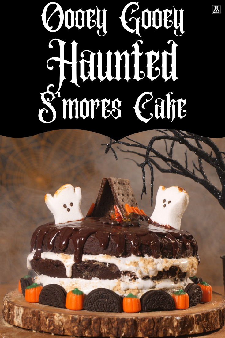 Simple to make and scary good to eat, this chocolate cake will have your favorite ghouls and goblins screaming for more!